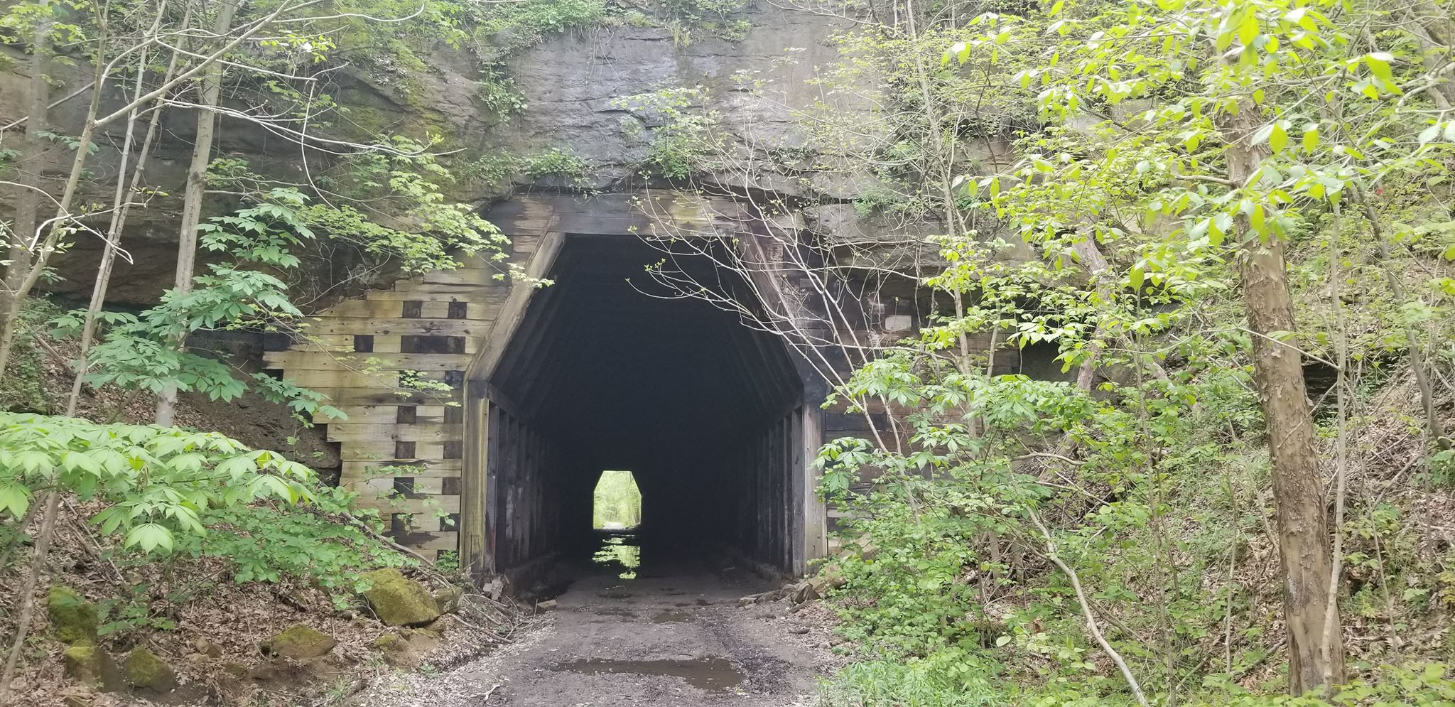 King's Hollow