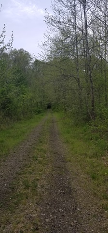 King's Hollow