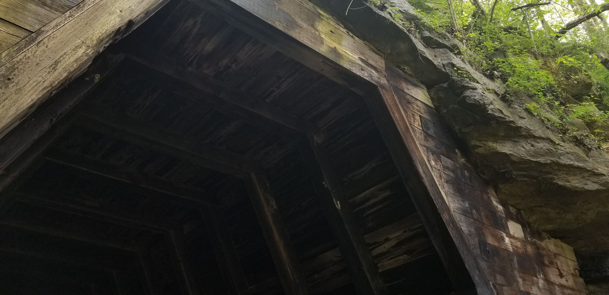 King's Hollow