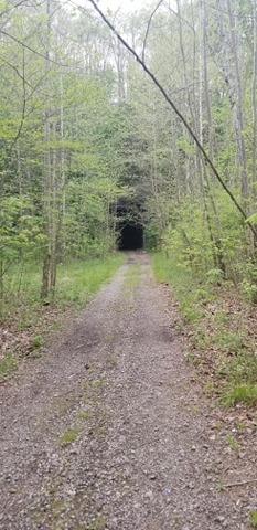 King's Hollow