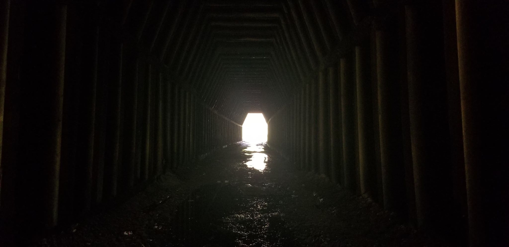King's Hollow