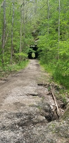 King's Hollow