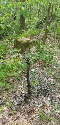King's Hollow