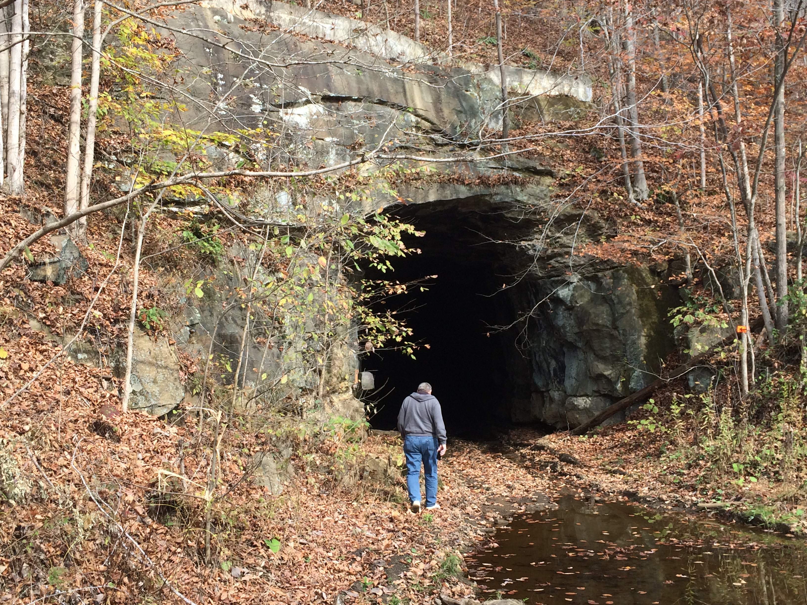 King's Hollow